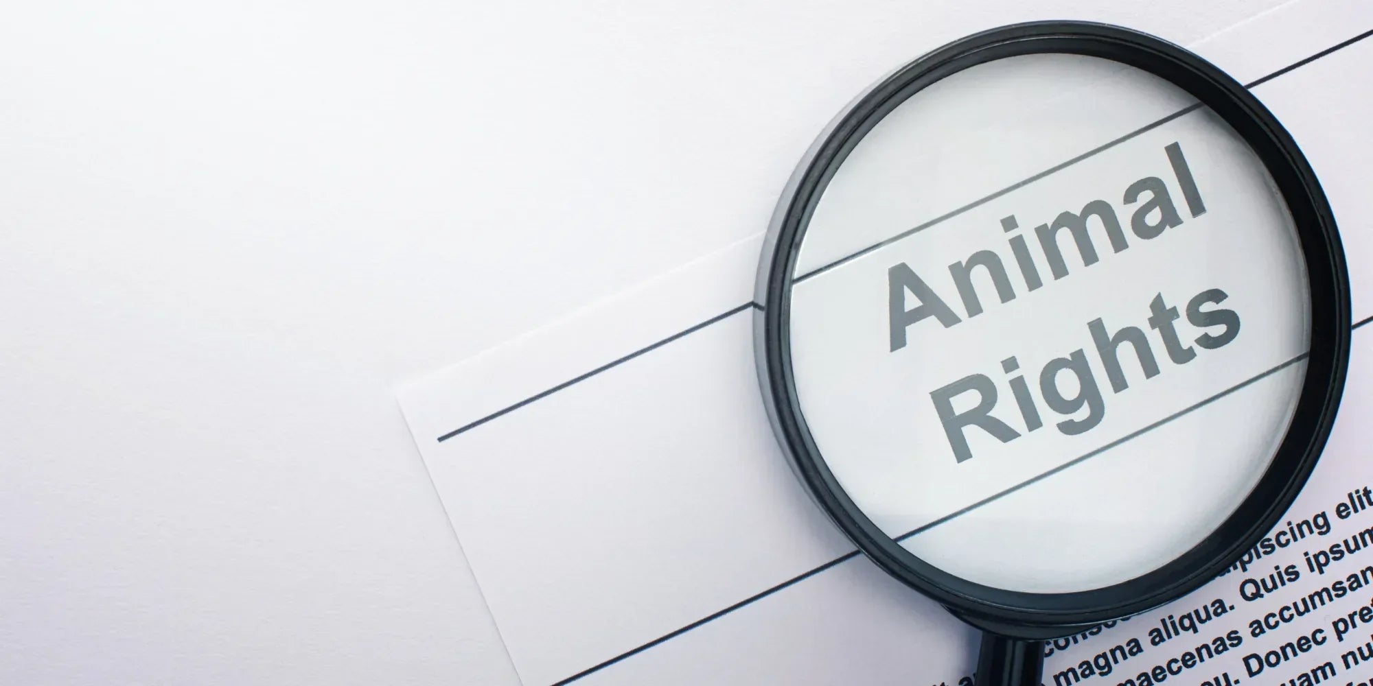 Maquiagem Vegana x Cruelty-Free: Qual é a diferença e como elas contribuem para o planeta