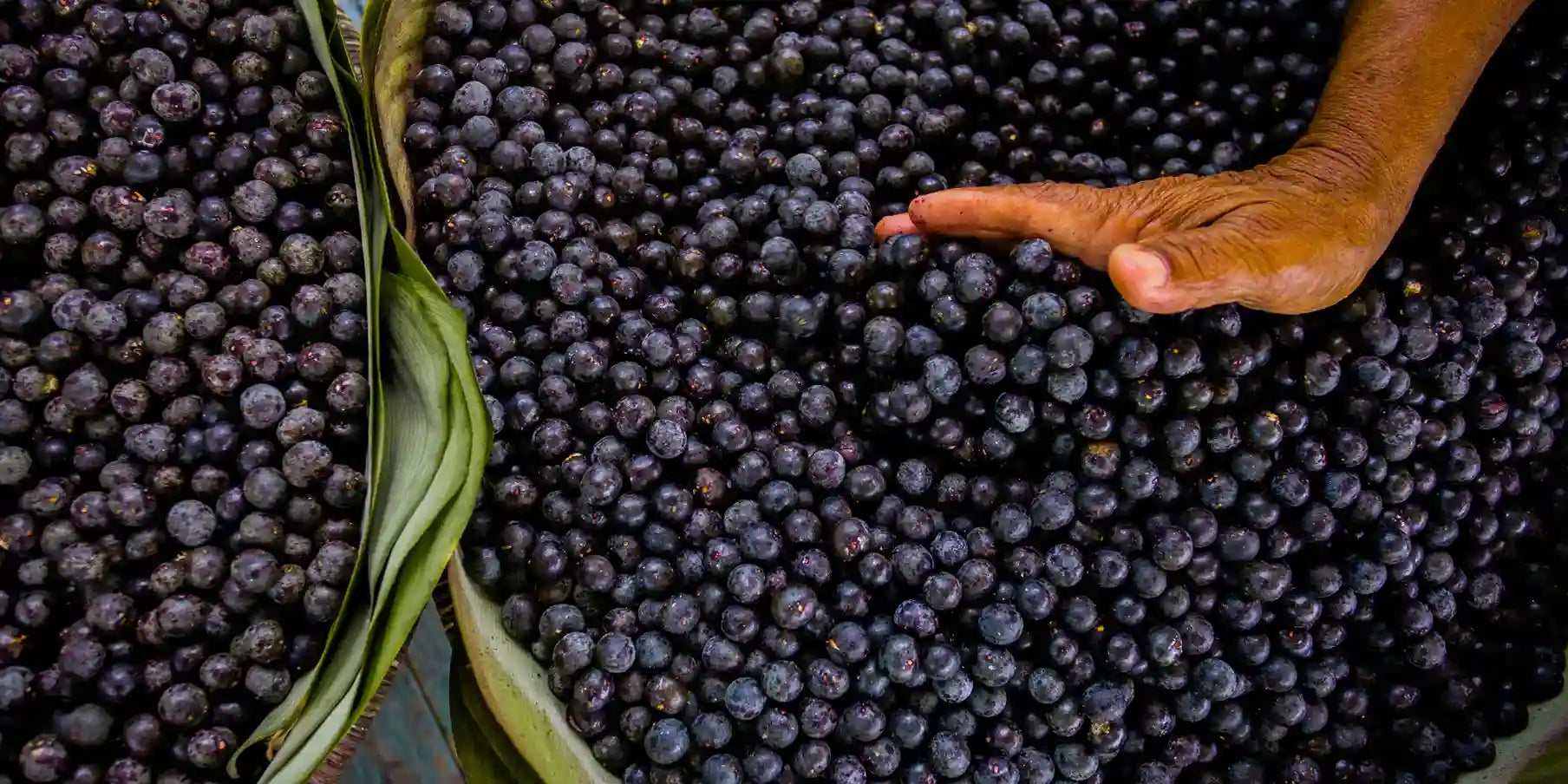 Ação antioxidante na prática: como o extrato de açaí protege a pele da poluição urbana diária