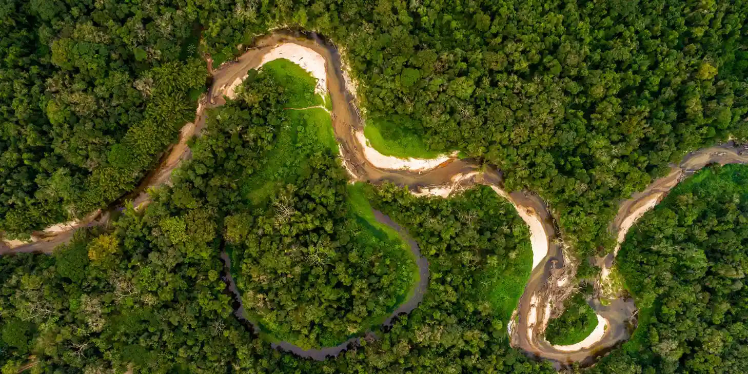 Dia da Amazônia: Celebrando o Pulmão do Mundo