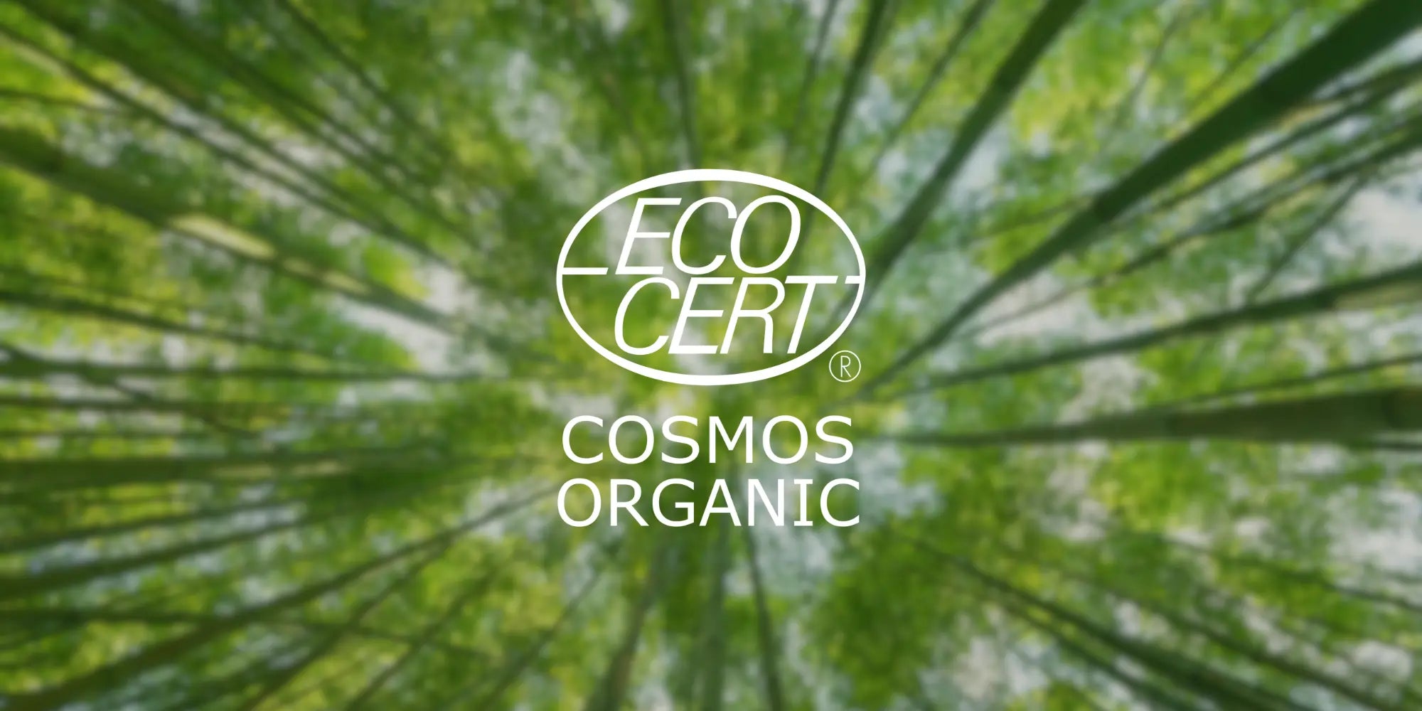 Certificação Cosmos Organic: por que é a maior garantia de segurança para o consumidor
